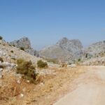 Arid landscape